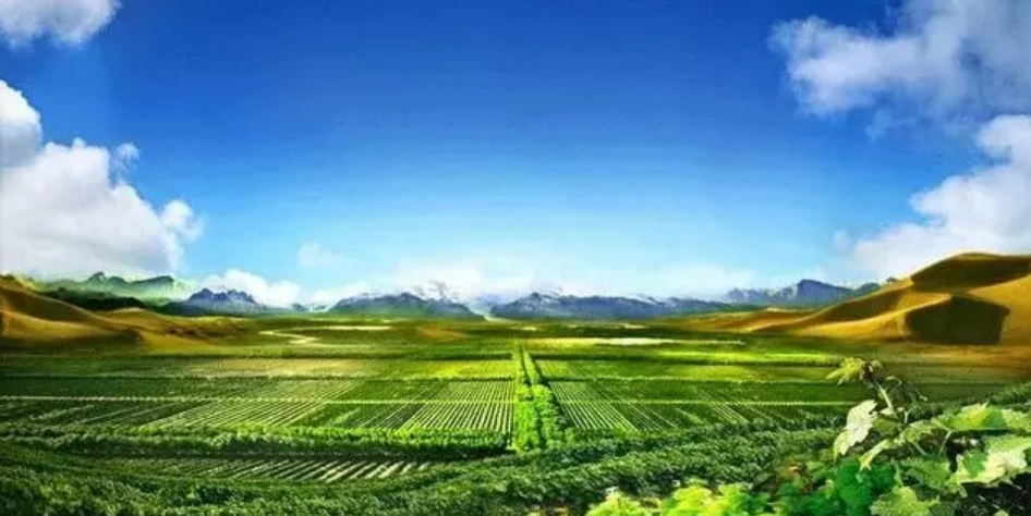 微信图片_20230728094148.png